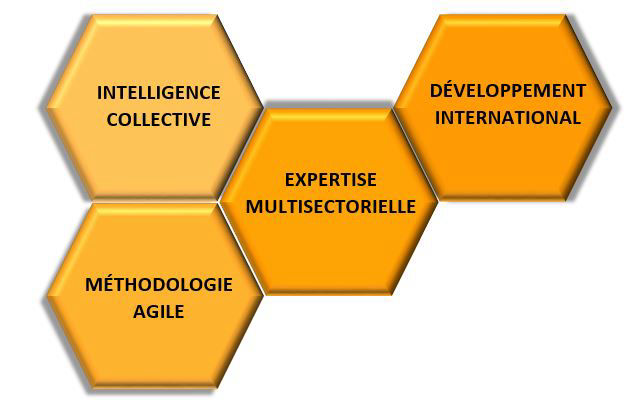 Intelligence collective,                             Méthodologie agile, expertise multisectorielle, développement international